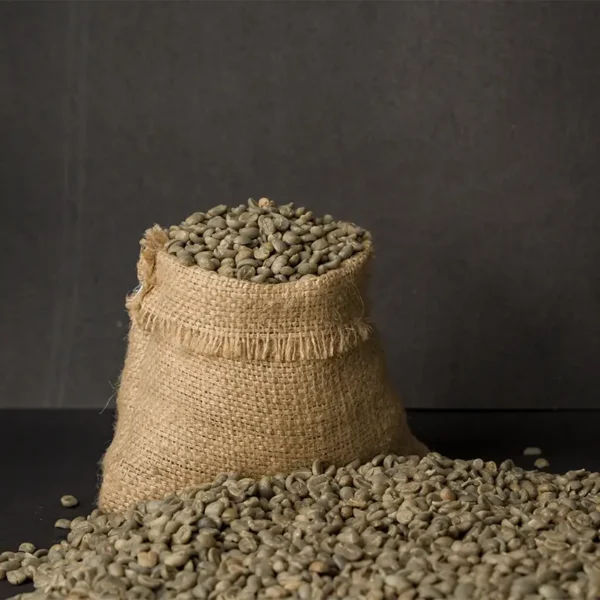 Gorkha Green Coffee Beans spread on a white surface, showcasing their premium quality